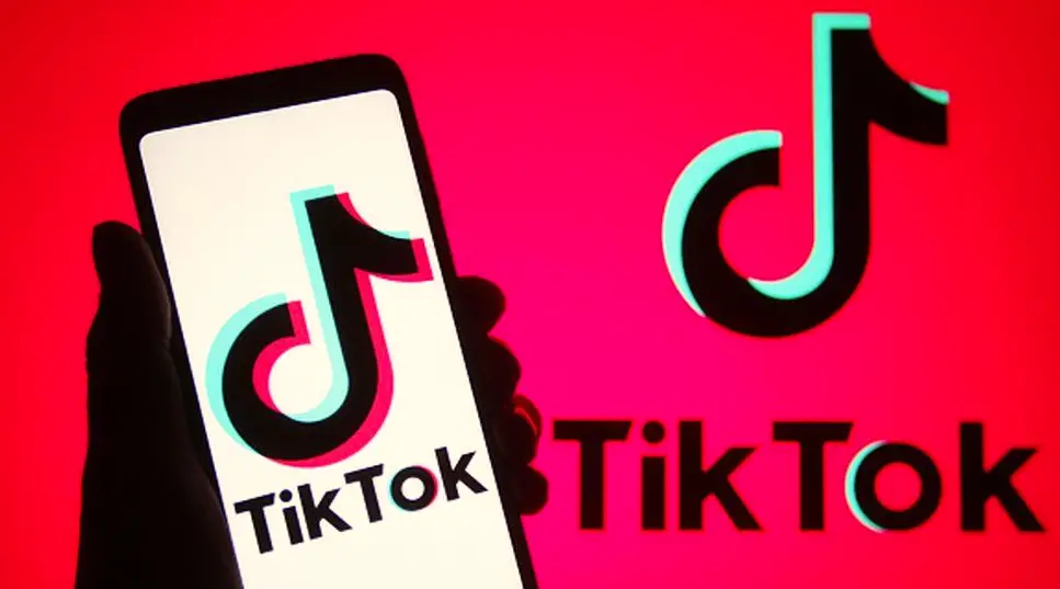 TikTok Videos